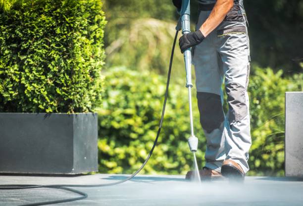 Best Solar Panel Cleaning  in Caddo Mills, TX